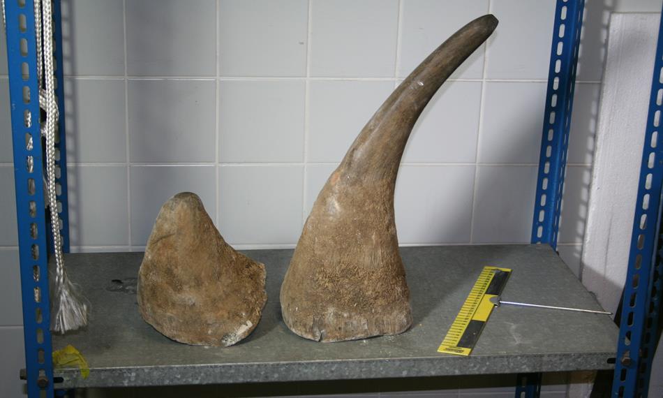 2014-2-28-1435foto 8.JPG